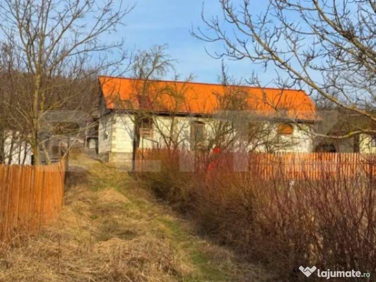 Casa intabulata la rosu langa DN24 in Schitu Duca - 1