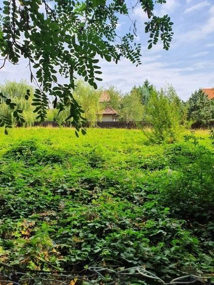 PARADISUL VERDE- teren in suprafata de 1 326 mp,. utilitati - 1