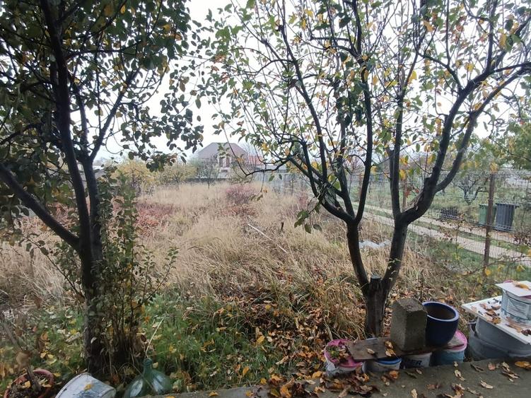 Bragadiru Clinceni - 6