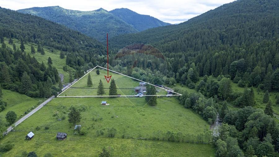 Ferma de vanzare, teren 21436 mp intravilan, Cosnea, Agas - 2