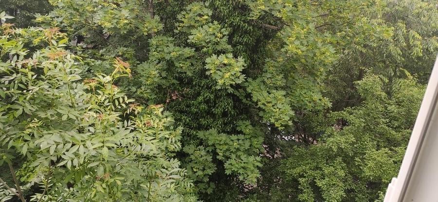 vanzare apartament 2 camere | Titan | zona verde | frumoasa | bloc 4 etaje reabi - 7