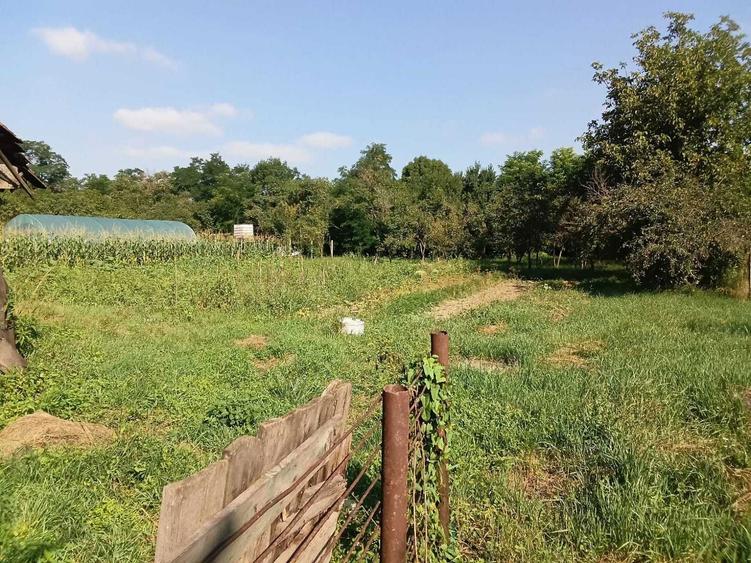 Casa de vanzare cu curte,gradina 2500mp - 3