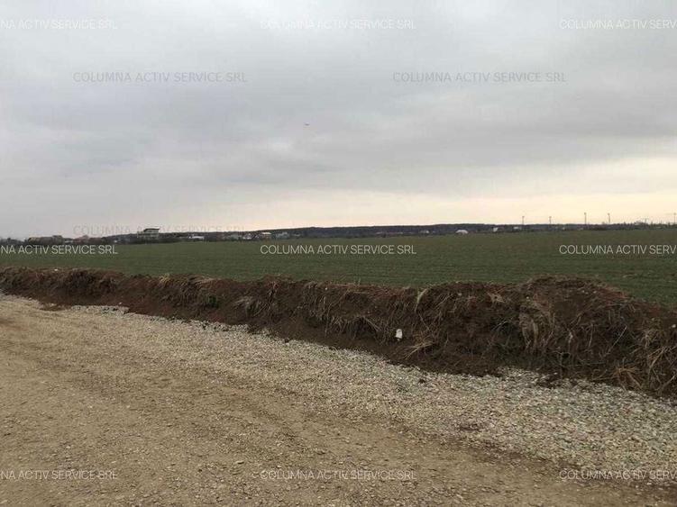 Balotesti Albinelor 4600mp oportunitate - 4