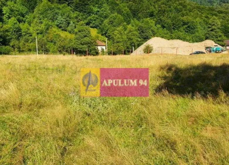 Teren Jude?ul Valcea - Brezoi, Valea lui Stan - 9