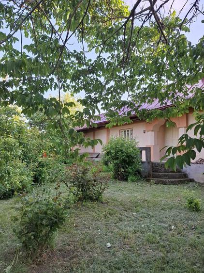 gospodarie completa+ teren 7200mp, centru loc. Galbeni Filipesti Bacau - 2