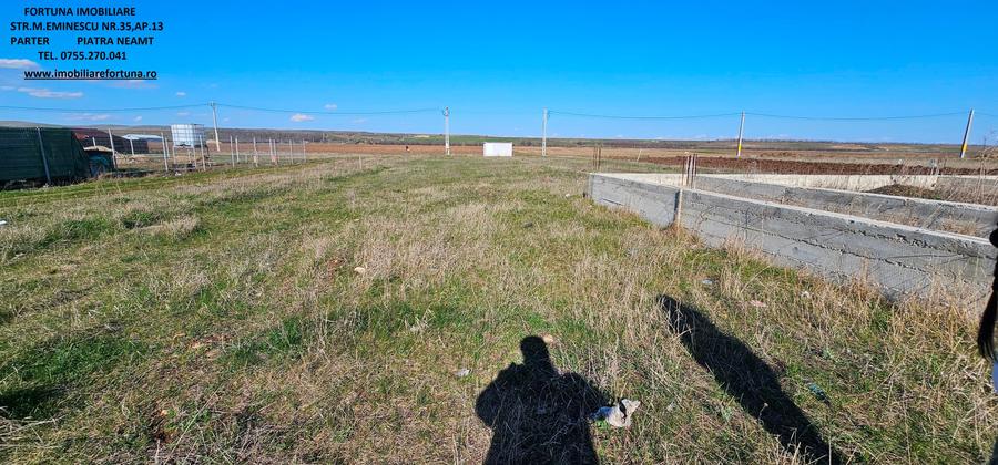 Teren cu fundatie si elevatie, Dumbrava Rosie - 2