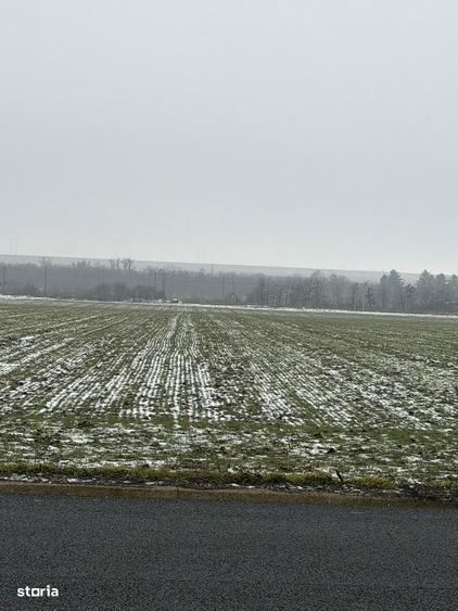 Vand teren agricol cu suprafata de 260000 mp - 5