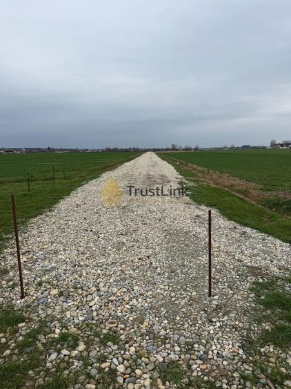 Teren intravilan de vânzare Berceni Vidra | 500–650 mp | curent la lot - 2