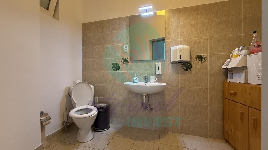Casă individuală cu 12 camere cu Canalizare în Grădina Icoanei