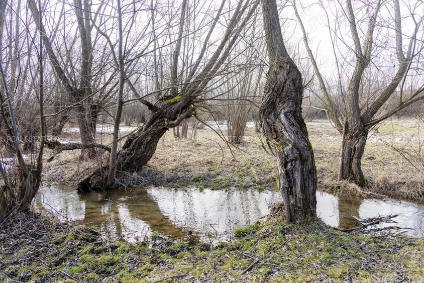 Comision0%Bran Sohodol intravilan 5783,acces rau Sohodol,front 70m - 10