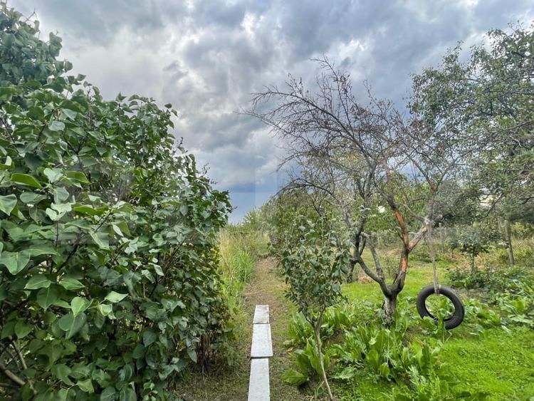 Casa si teren de 2368 mp , Zona Calea Bucuresti - 1