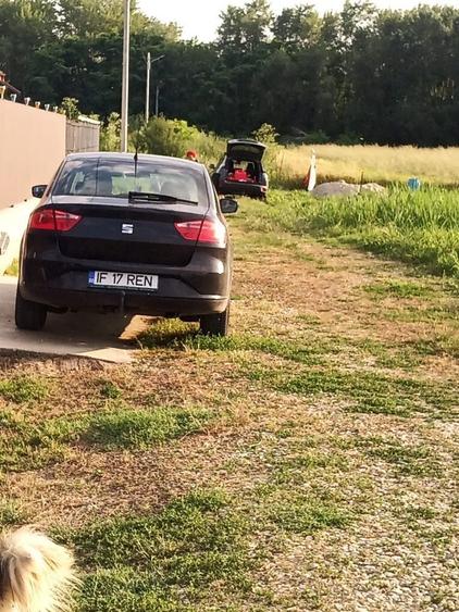 Teren de poveste Domnesti Sat Teghes langa padure - 2