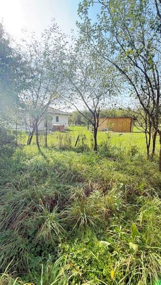 OCOLIS casa batraneasca cu sura si 14 ari teren! - 7