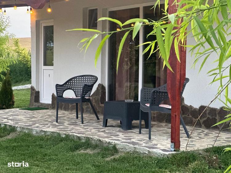 Pensiune cu balta de 30 ha in proprietate aproape de Bucuresti - 11