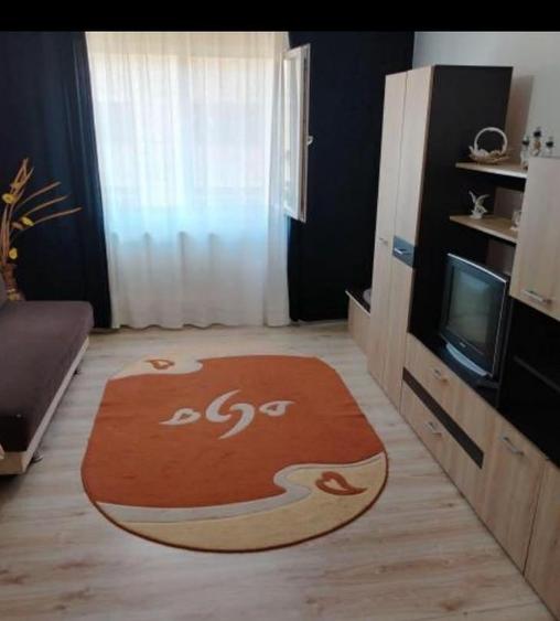 garsonieră zona Poarta 6  mobilată utilată 22 mp - 1
