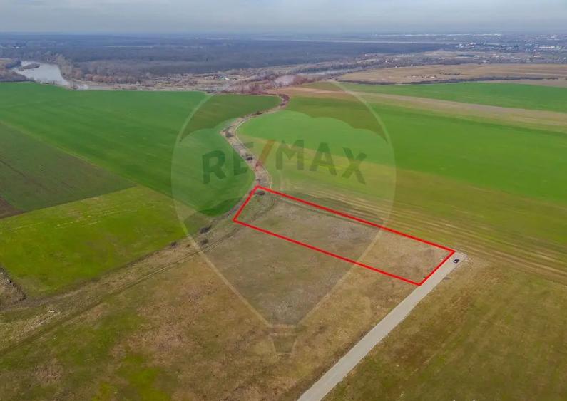 Teren intravilan 10.000 mp in Zona Industriala Sud Arad - 6