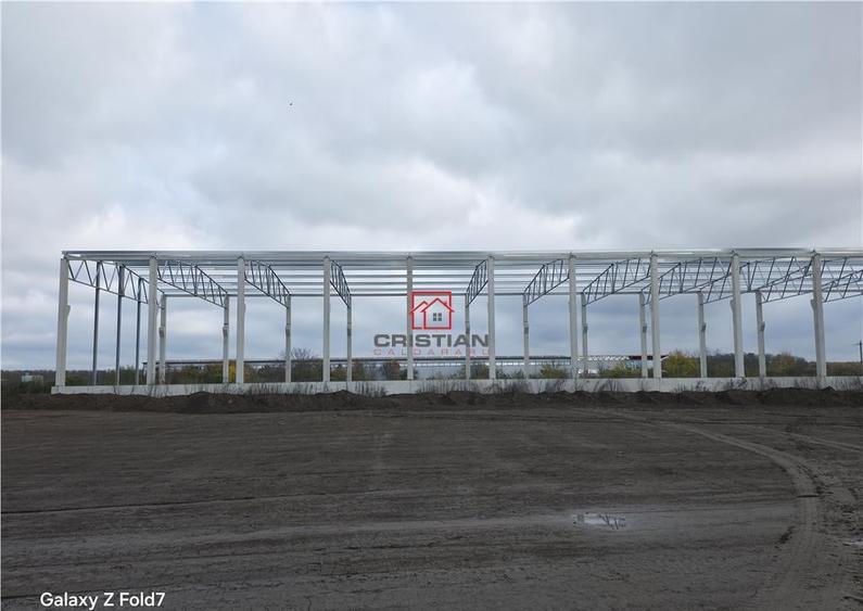 Depozit/hala/spatiu industrial Mogosoaia - Buftea - 4