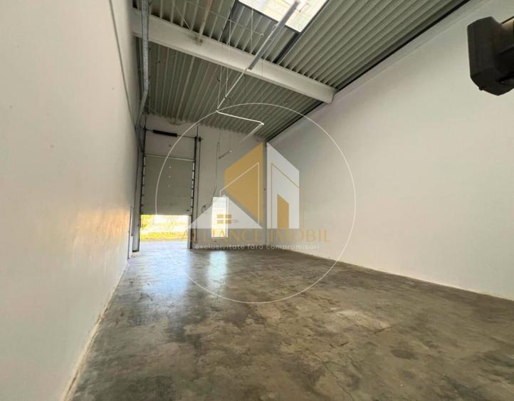 Spațiu industrial cu utilizare mixtă(producție ,depozit, birouri) – de închiriat - 6