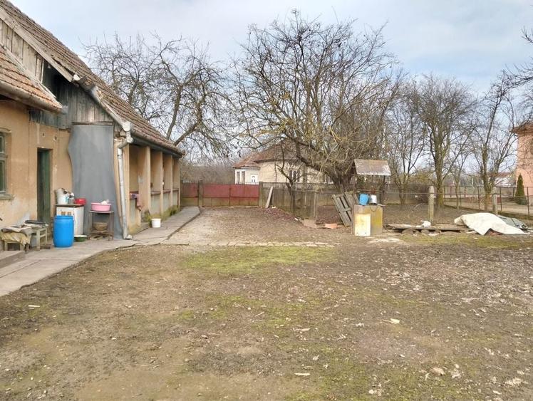 Vand casa veche in Nisipeni / Elado regi paraszthaz Sandorhomok-ban - 6