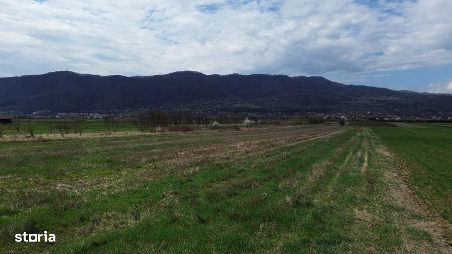 Teren / Jiblea Noua / Calimanesti / - 2