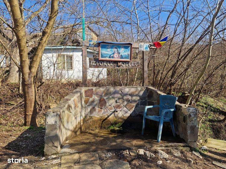 Teren extravilan, 23 400 mp, Cuvin (Ghioroc) - 3