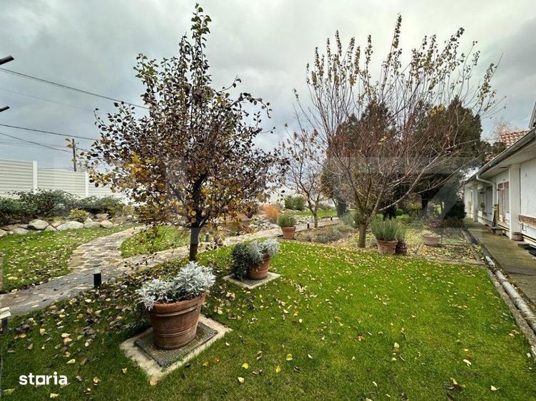 Restaurant de inchiriat 176mp utili, 230mp terasa si 8000mp teren lang - 5