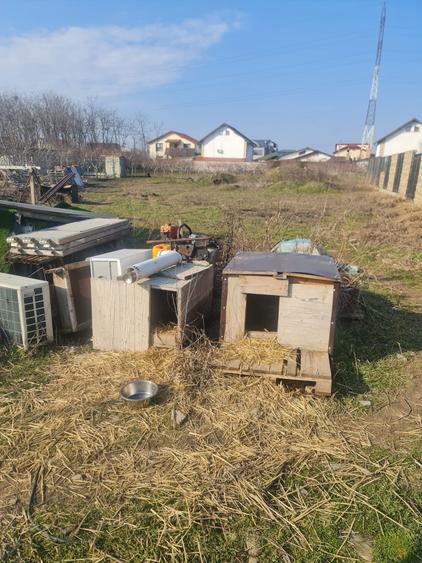 Vind teren 1100 metri linga benzinaria moll - 2