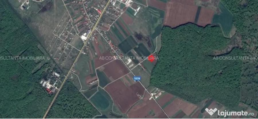 OCAZIE!!! Teren lipit de padure cu acces foarte facil la DN1 - 4