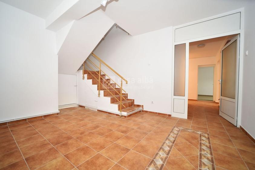 Aroneanu - Sorogari, proprietate excelent pozitionata, de vanzare - 16