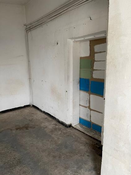 Spatiu comercial-Fost Magazin Casa Lebada, Sos. Bucium 23 - 9