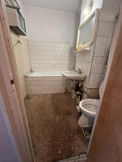 Vanzare apartament 3 camere Drumul Taberei Raul Doamnei - 8