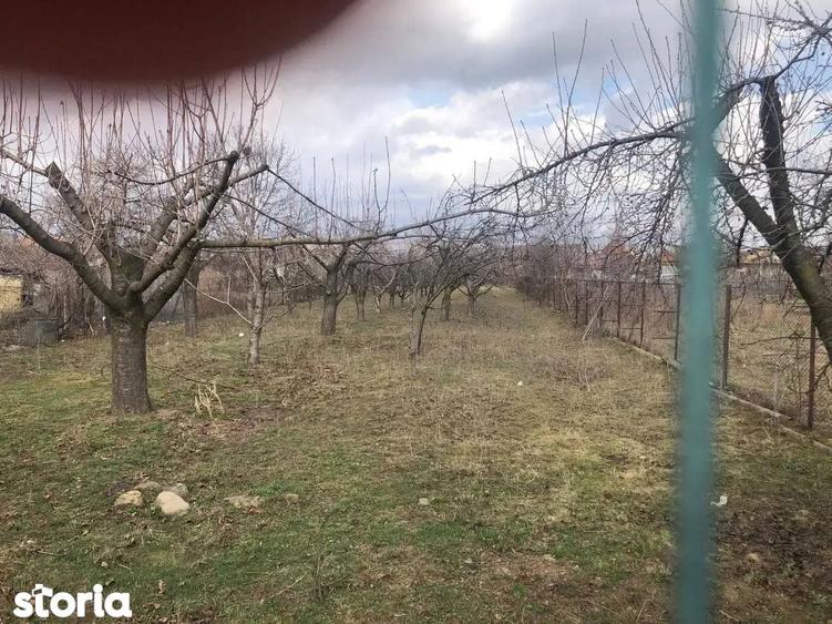 Casa cu imbunatatiri, curte + livada Drajna de Jos / Prahova! - 15