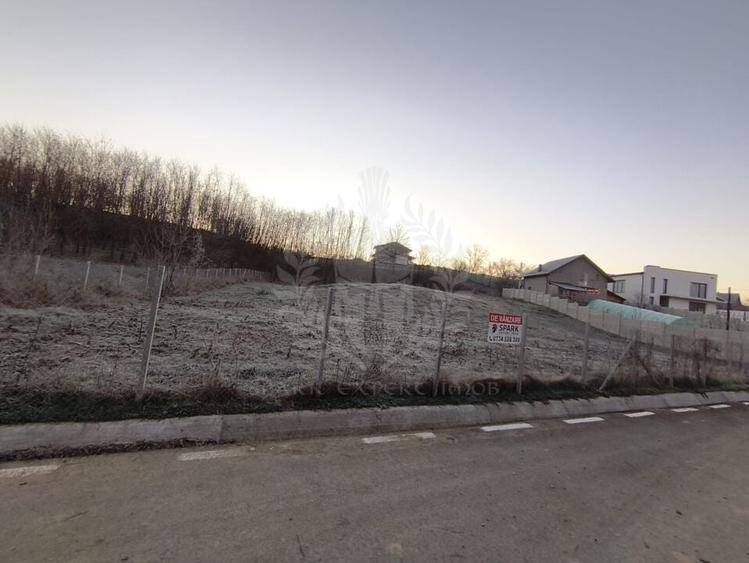 TEREN INTRAVILAN//COM. PLOPU//1300//2700 MP - 6