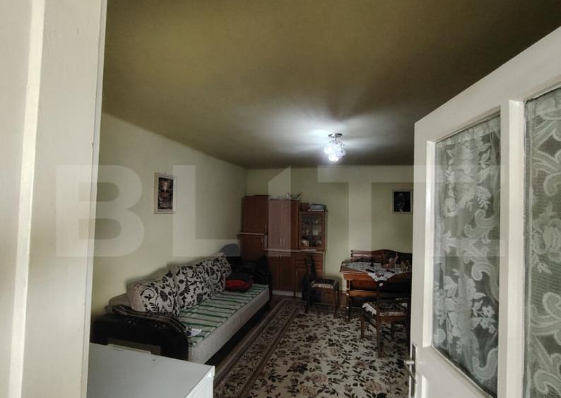 Casa solida cu pod, foi?or ?i 2 garaje in Tarnaveni - 1