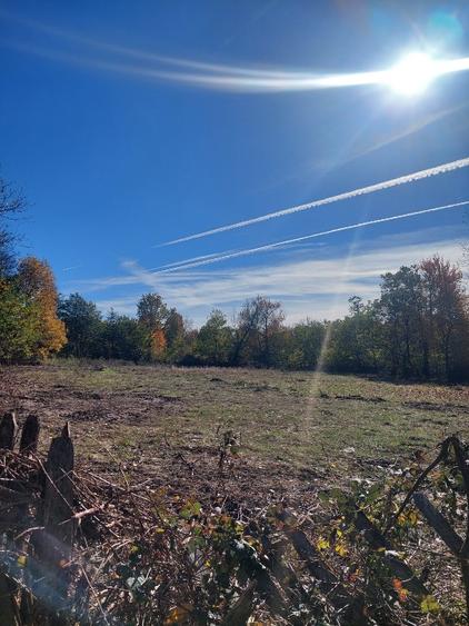 Vând teren 4200mp, int și ext în Romani  de jos - 1