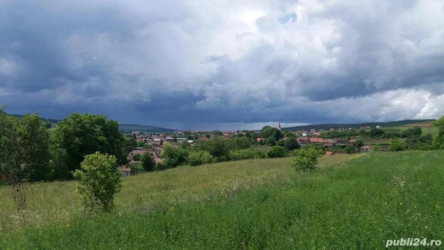 vand teren intravilan agricol 4500 mp in snagov la 40000 euro, - 1