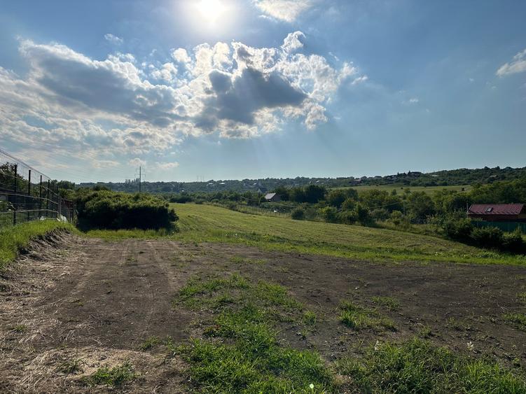 Teren 8.000 mp in Daia Noua / com. Rosia / jud. Sibiu - 2