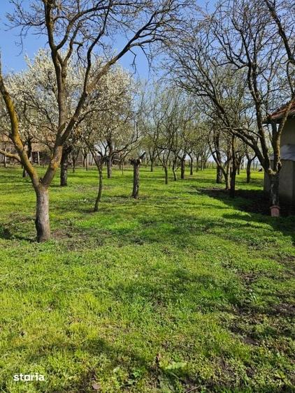 Casă cu 3 camere cu Teren 1700 Mp în Tureni