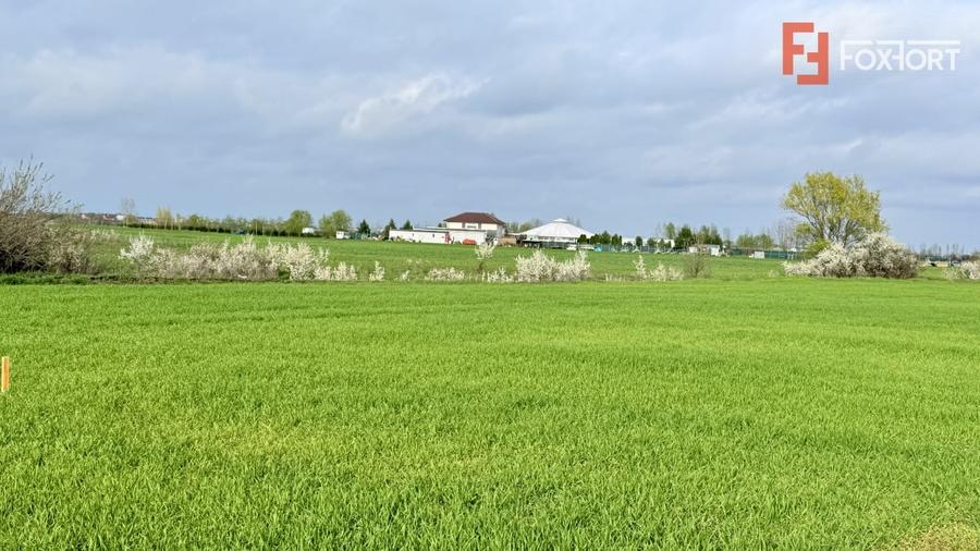 Parcela de teren intravilan de vanzare, 502 mp - Sacalaz - 1