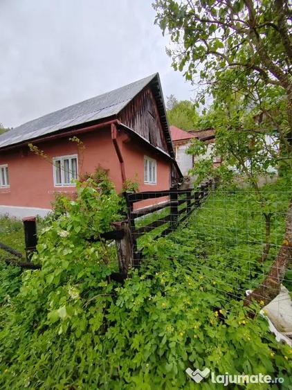 Casa de vanzare Cavnic - 4