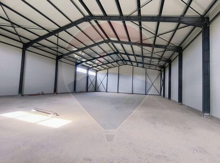 Spațiu industrial hala depozit zona Theodor Pallady - 5