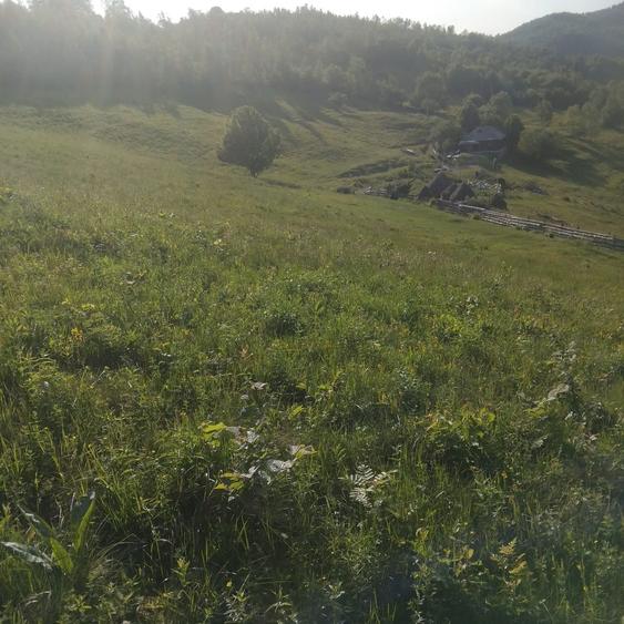 Teren intravilan in Plopi com. Valea Ierii - 2