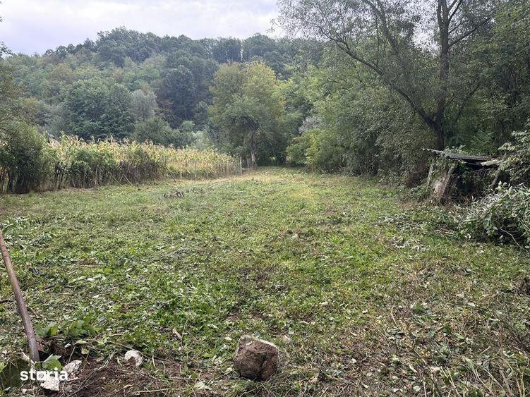 Casa de vanzare Paraul de Vale - 8