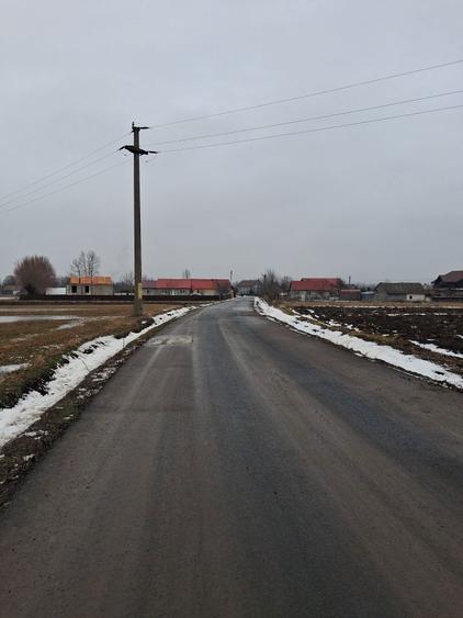 Vand loc de casa in Zvoristea 36 ari - 8