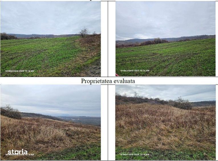 4 terenuri extravilane Muntenii de Jos, cota parte 1/2 ; ID: R2922169 - 5