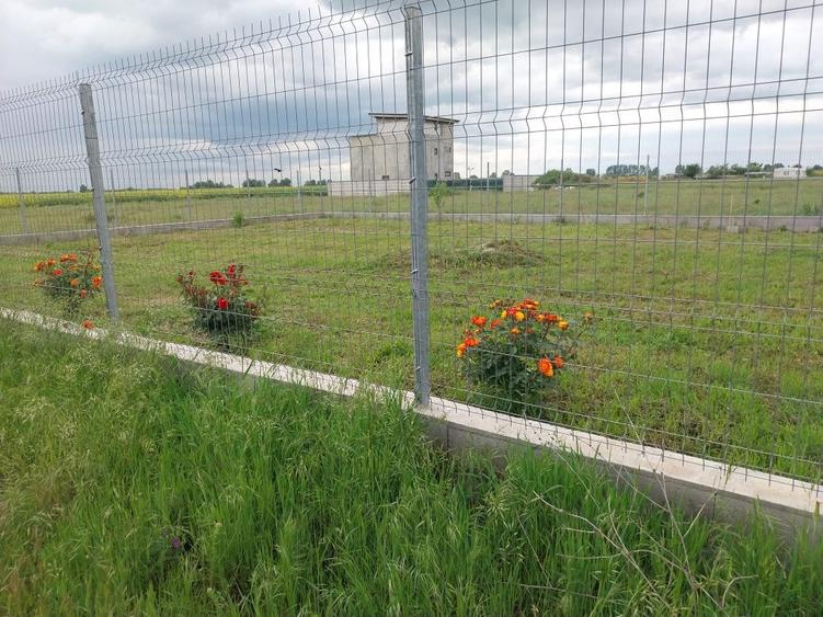 Teren de vanzare Berceni lac 400mp - 1