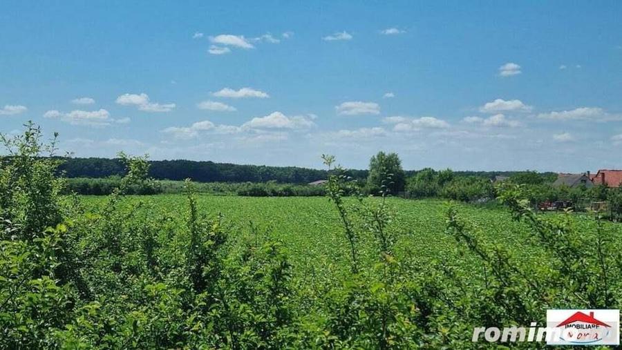 Teren extravilan 3,56 hectare in Dorolt ( ID 22873) - 6