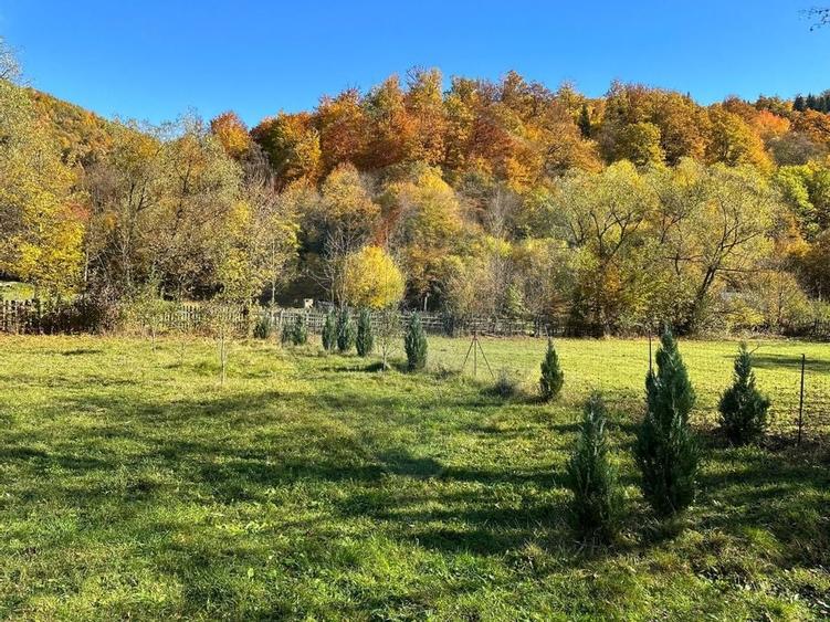 Teren de vanzare Cuiejdel 1350 mp - 6