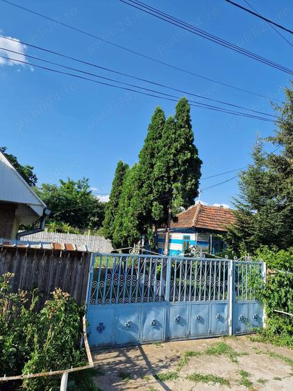Casa batraneasca de vanzare plus magazin - 6
