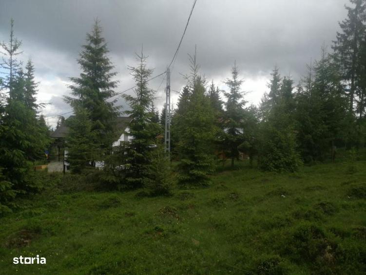 Teren de vanzare Belis1300mp Strada principala Intravilan - 2